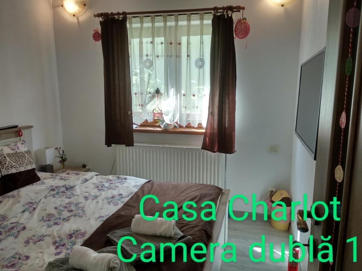 Appartement Casa Charlot à Braşov Extérieur photo