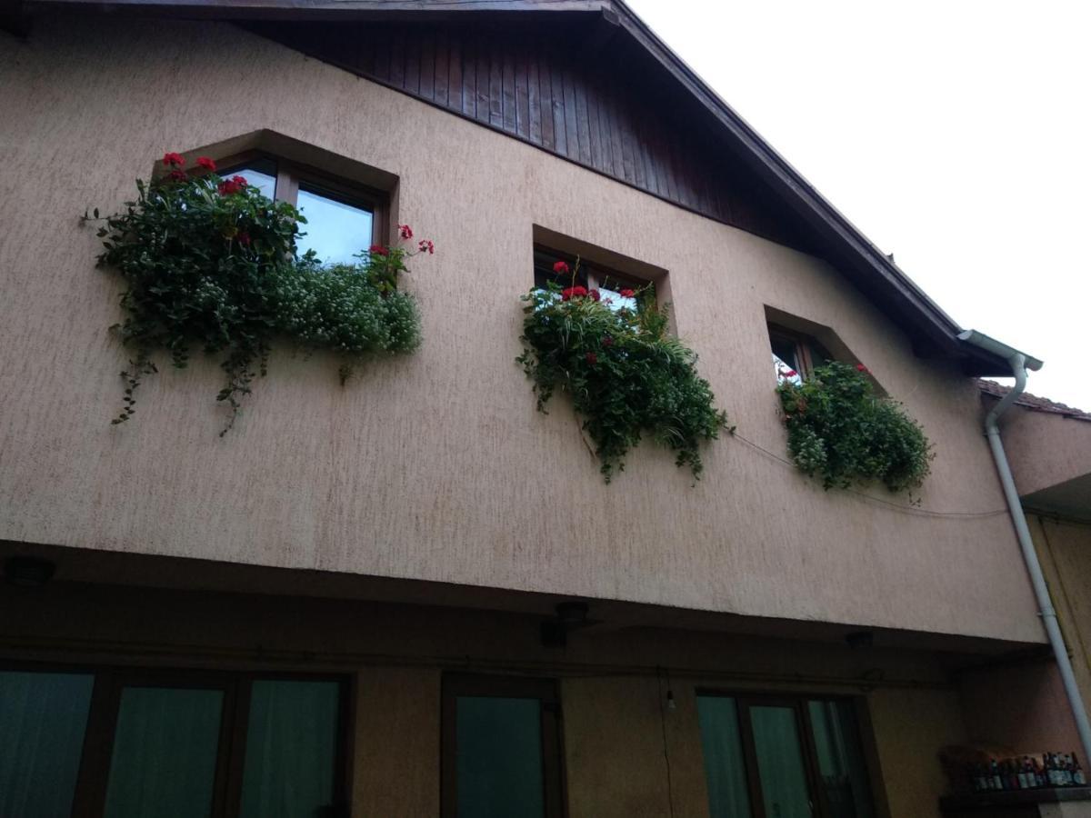 Appartement Casa Charlot à Braşov Extérieur photo