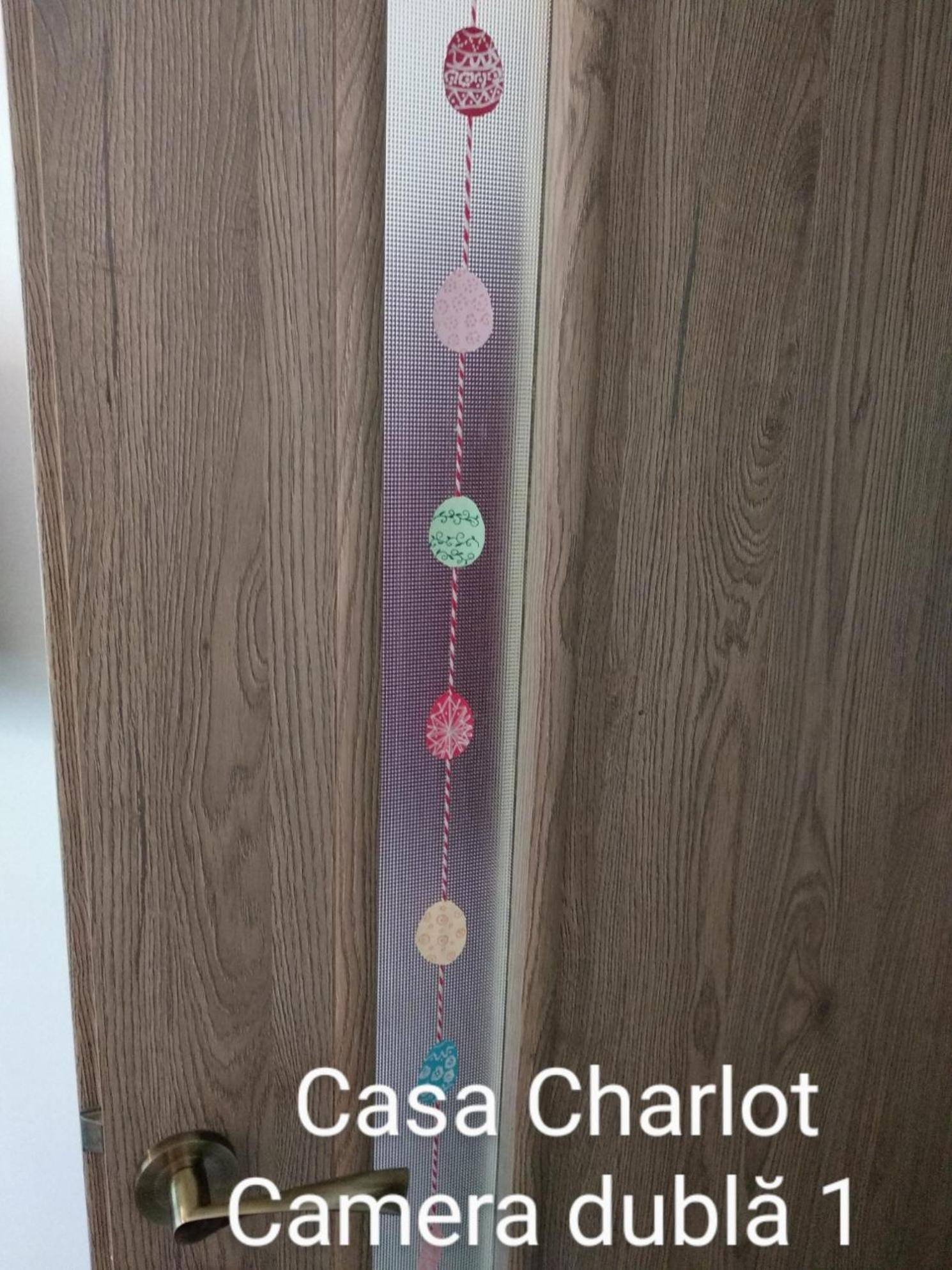 Appartement Casa Charlot à Braşov Extérieur photo
